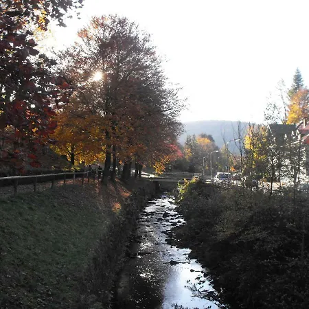 Brummers * Wildemann