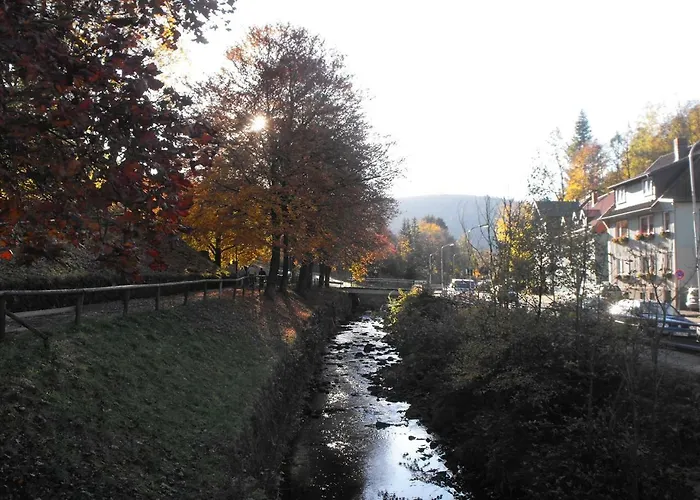 Brummers * Wildemann